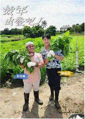 纪实综艺拍摄方式配图